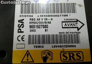 imagem_2