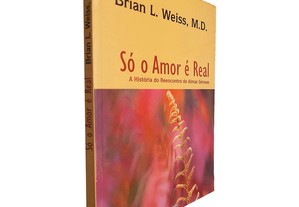 Só o amor é real (A história do reencontro de almas gémeas) - Brian L. Weiss