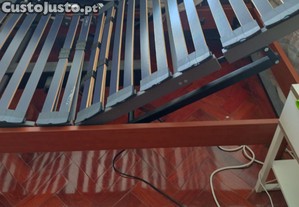 imagem_4