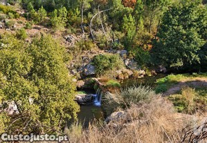 imagem_25