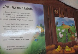 imagem_3