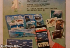 imagem_6