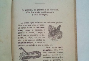 imagem_2