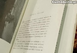 imagem_6