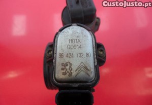 imagem_5