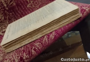 imagem_7