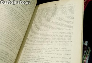 imagem_13