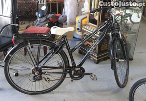 Bicicleta de Adulto Berg