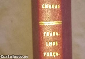 imagem_6