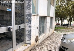 imagem_14