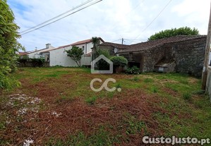 imagem_12