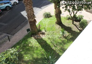 imagem_28