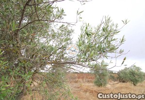 imagem_22