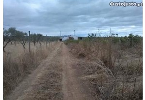 Terreno Rústico/ Agrícola 7500m Aljustrel/ Rio de Moinhos