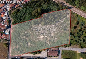 Terreno Para Construção Com 9.000M2, Ovar.
