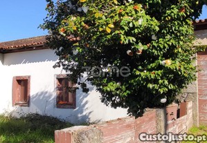 Quinta Do Cerrado Em Penafiel - Casa Principal...