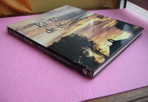 imagem_8