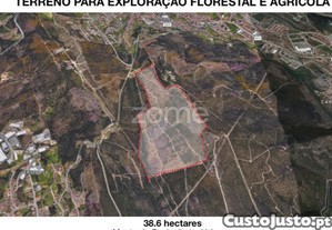 Terreno Para Exploração Florestal E Agrícola -...