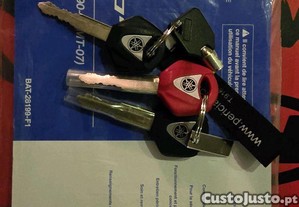 imagem_7