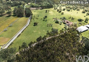 Terreno em Souto da Carpalhosa e Ortigosa de 161861,00 m²
