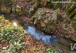 imagem_27