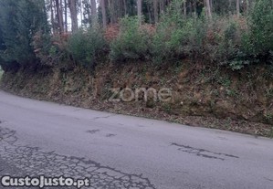 Terreno Rústico Com 5165M2, Em Salgueiro,...