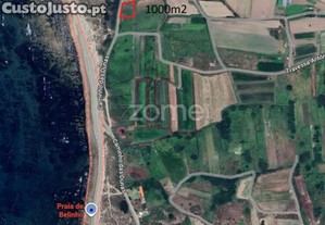 Terreno Agrícola De Frente Para O Mar