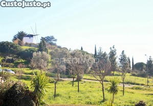 imagem_7