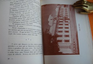 imagem_5