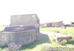 imagem_13