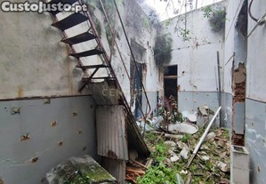 imagem_11