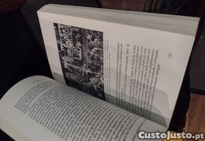 imagem_4