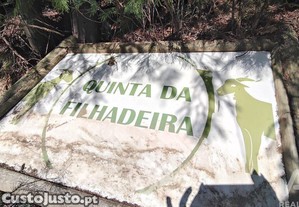imagem_31