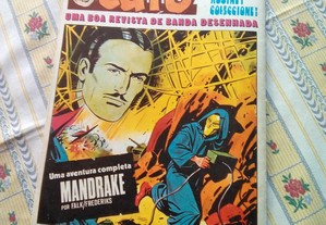 imagem_2