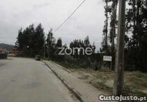 Terreno Misto Com 30.500 M2 Em Alvarelhos...