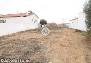 imagem_13