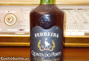 imagem_1