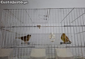 imagem_4