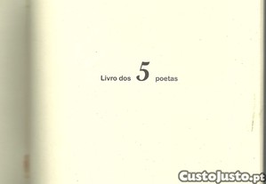 imagem_4