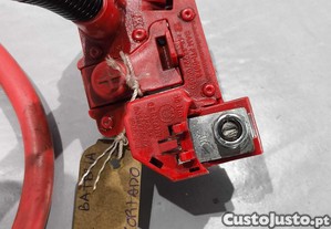 imagem_3