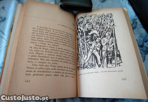 imagem_7