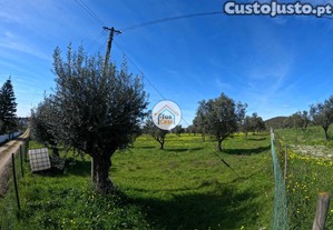 imagem_11