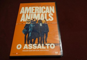 DVD-American animals/O assalto