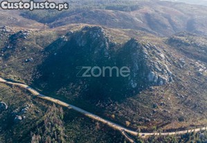 Terreno Florestal Com 4.2 Hectares Em Marco De...