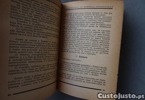 imagem_7
