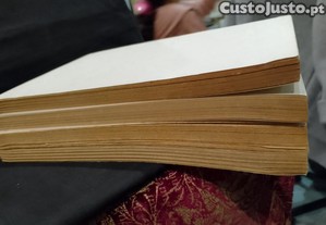 imagem_14
