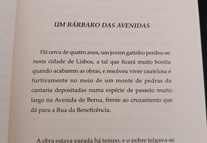 imagem_2
