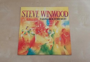 Steve Winwood Talking Back to The Night