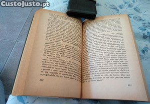 imagem_7