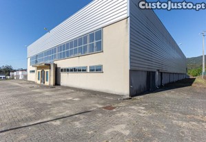 Armazém Industrial Com Terreno Em Reigoso, Viseu